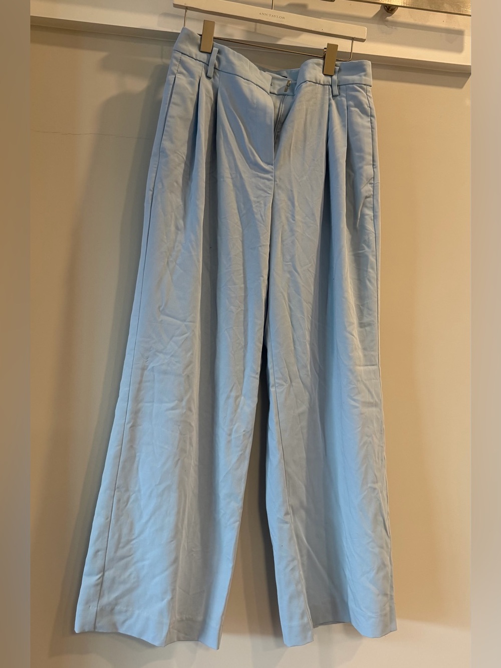 Ann Taylor Light Blue Pleated Wide Leg Pants Trousers 4P